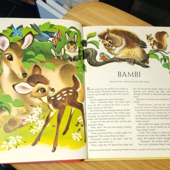 Disney's Story Land Classic Illustrated Book - Picture 10 of 13